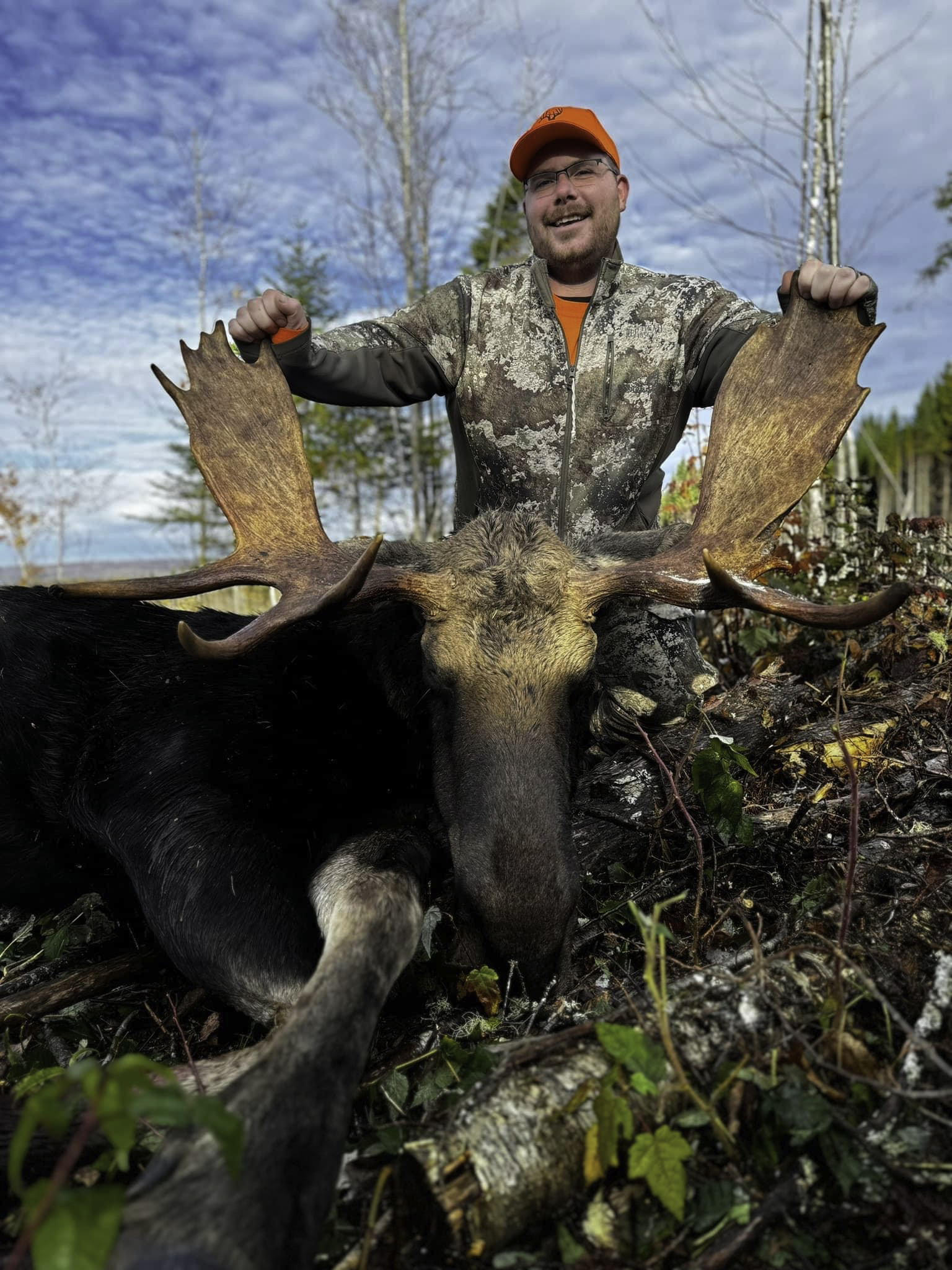 Successful hunter with mature bull moose in northern Maine