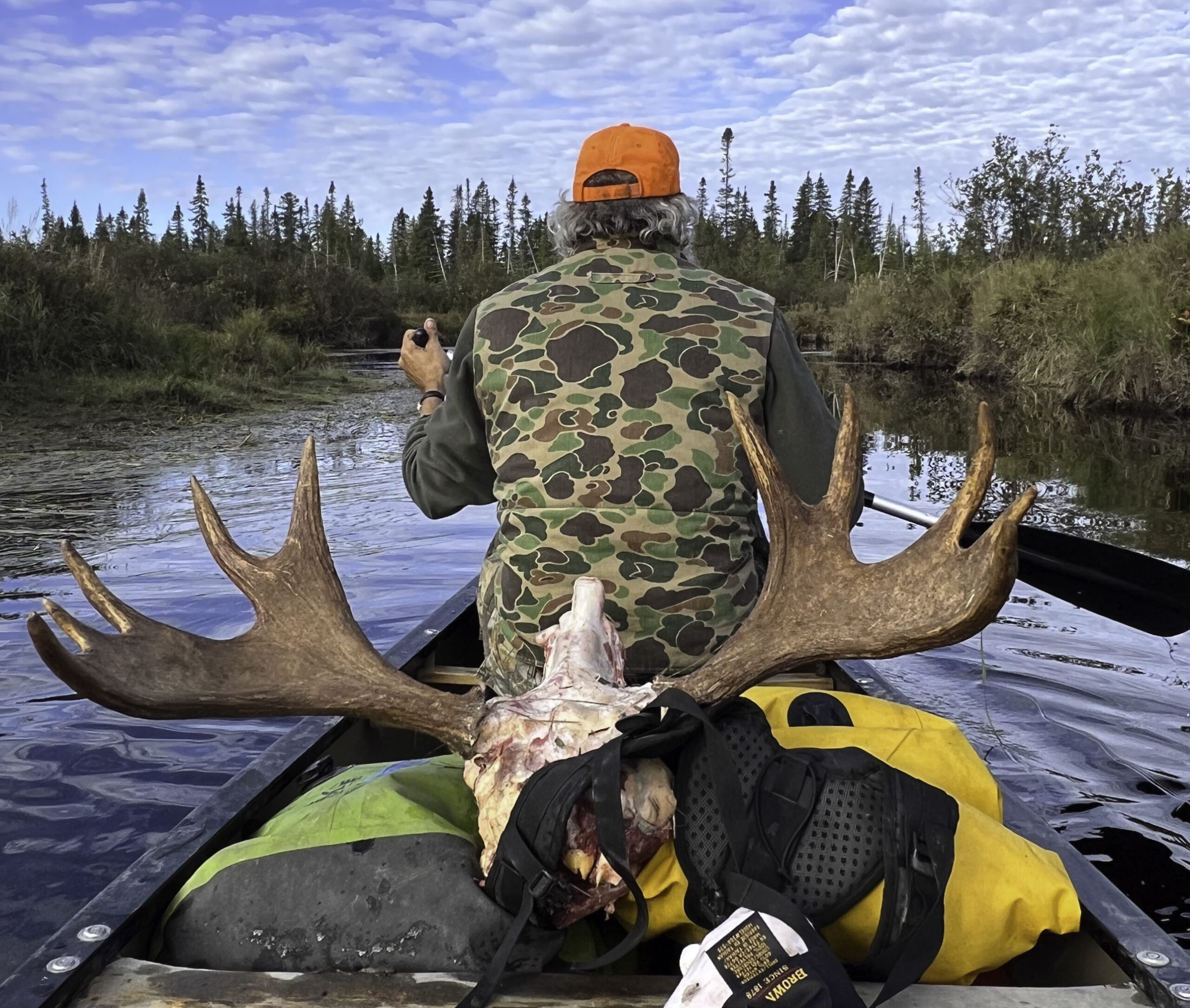 Moose hunting in the Maine wilderness during fall season