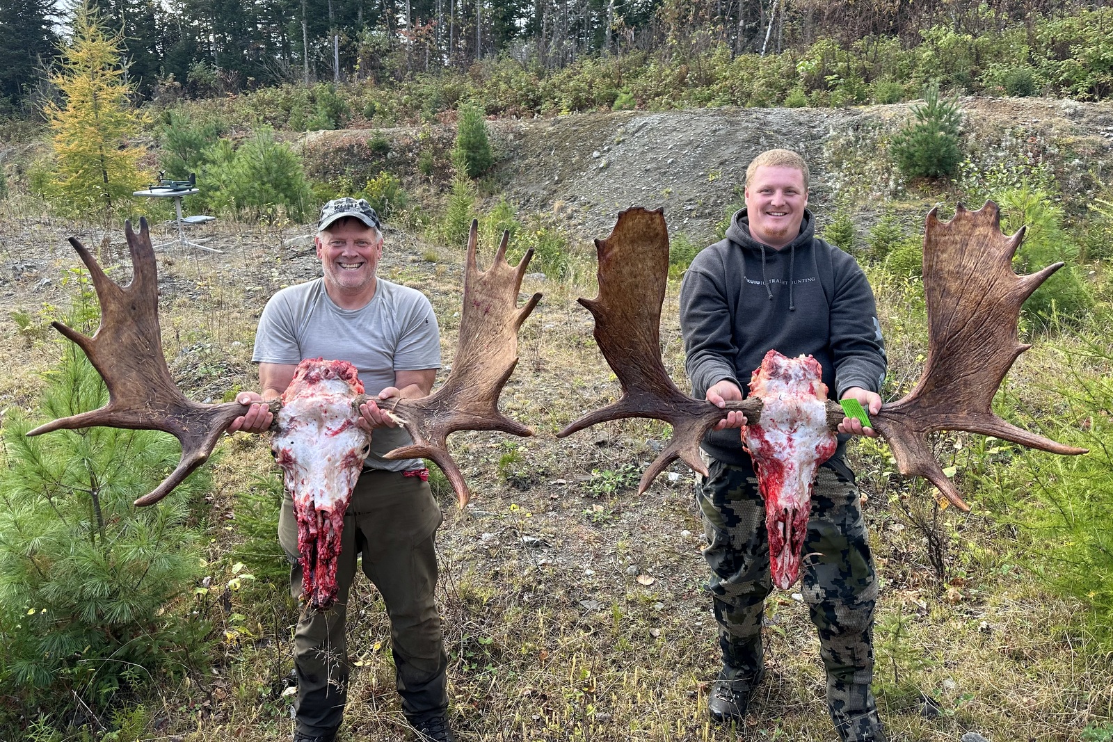 Hunter glassing a clearcut for moose in Maine WMD 2